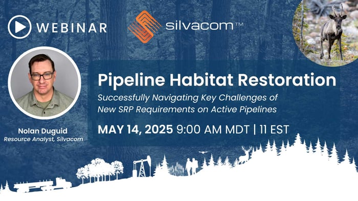 2025-Pipeline-Habitat-Restoration--web