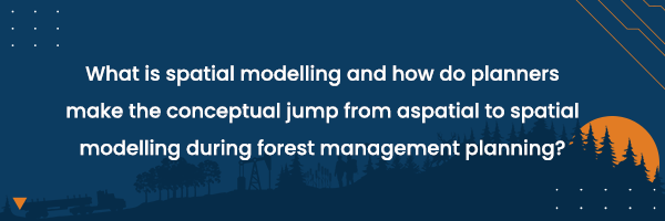 What is spatial modelling and how do planners make the jump from aspatial to spatial modelling during forest management planning?