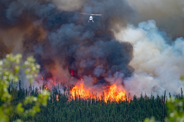 Active wildfire burning with helicoper flying over