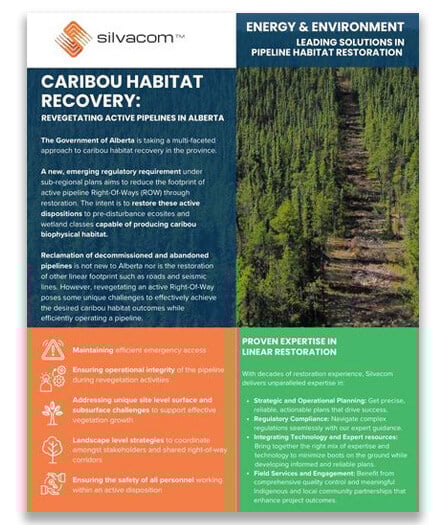 Caribou-habitat-recovery-brochure-place-holder-for-silvacom-website
