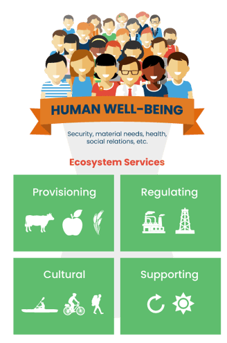 Ecosystem services (ES) are the benefits that nature provides to people