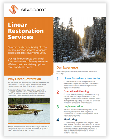 Linear Restoration Services