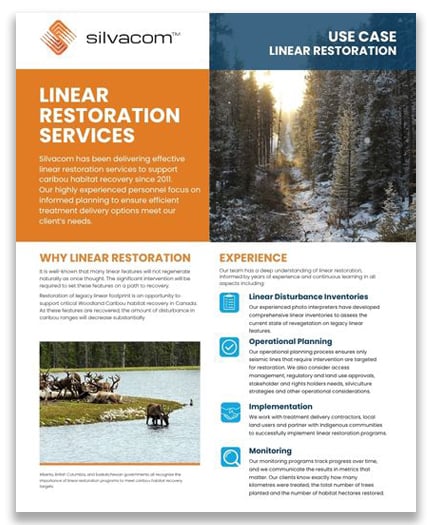 Linear-restoration-thumbnailr-for-silvacom-website