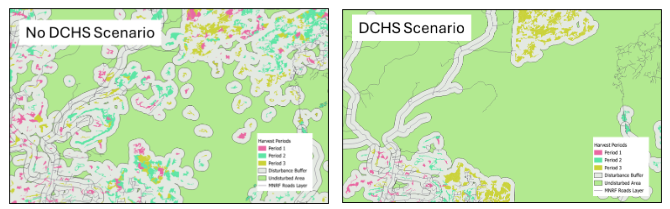 Screenshot 2025-06-17 135824