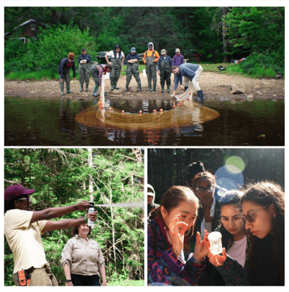 FREED 2025 group activities