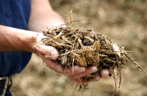 Screenshot 2026-01-20 122518