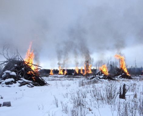 Screenshot 2026-01-20 122736