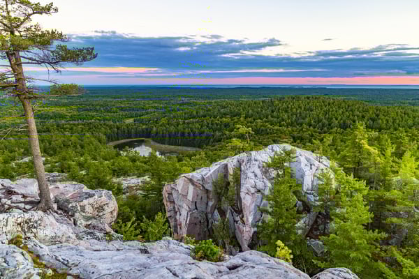 Managing woodbaskets in Ontario