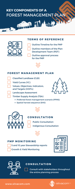 Strategic FMP Components Infographic