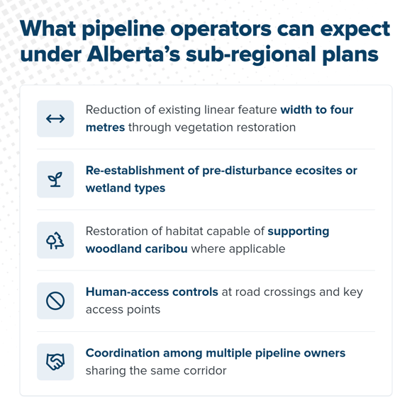 Infographic of what pipeline operators can expect under Alberta's sub-regional plans, from four-metre linear features to shared-corridor coordination