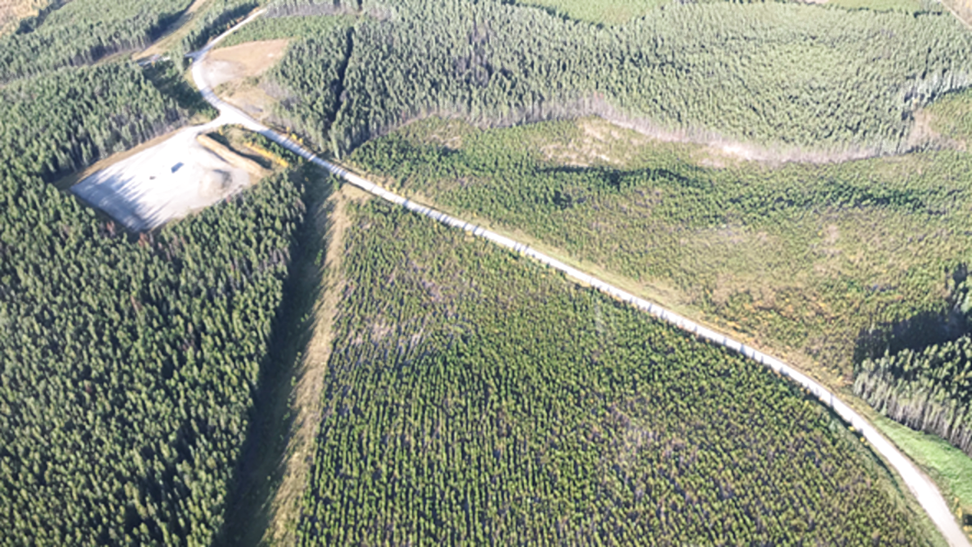 Aerial view of a pipeline right-of-way and gravel road through boreal forest in northern Alberta